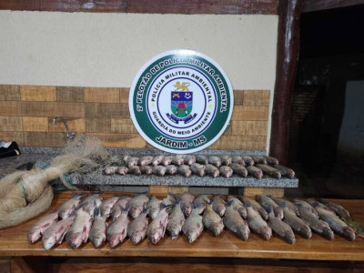 Quatro homens são autuados por pesca predatória no Rio Miranda