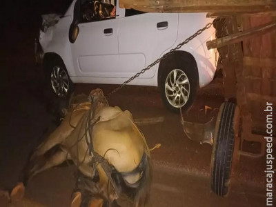 Acidente na BR-463 parte carroça ao meio e deixa cavalo morto
