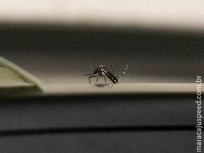 Bebê de 8 meses morre por dengue no interior de MS