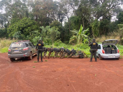 "Bikes do tráfico": quase 700kg de maconha são apreendidas em mata