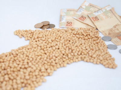 Custos de produção da soja em MT sobem 50,4% em um ano