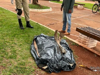 Homem é achado morto em praça central de Sidrolândia 