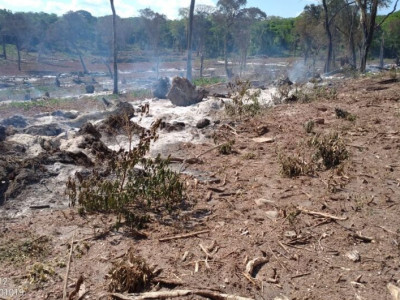 Homem é autuado em R$ 6 mil por incendiar restos de vegetação