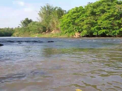 Rapaz de 21 anos desaparece ao entrar com tarrafa no Rio Aquidauana
