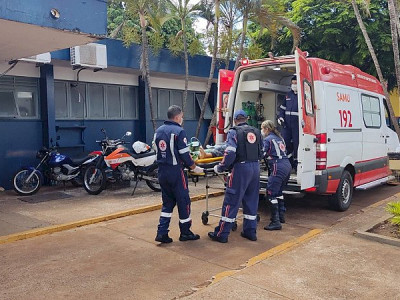 Casal em carro é atacado por enxame de abelhas em Dourados 