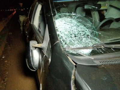 Mulher atropelada na BR-163 teria invadido a pista