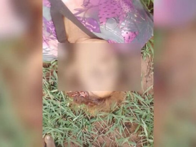 Mulher é assassinada na frente do filho em Japorã 