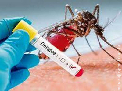 Número de mortes por dengue quadruplica no Brasil em 2022