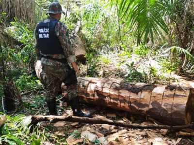 Ambiental aplicou mais de R$ 26 milhões em multas durante 2022