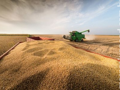 Brasil produz mais de um terço de toda soja consumida no mundo