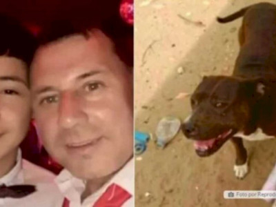 Homem mata pitbull a facadas após cachorro atacar seu filho