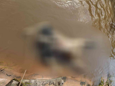 Pescador encontra corpo de homem nu boiando no Rio Aquidauana