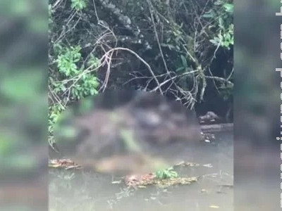 Pescadores encontram corpo boiando no rio Barigui