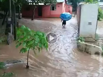Bonito debaixo d