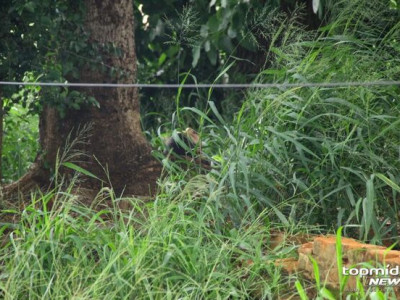 Homem entra vivo e aparece morto em terreno no Jardim Leblon