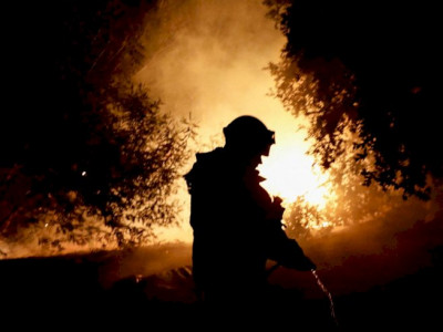 Incêndios consomem mais de 750 hectares de florestas no Chile