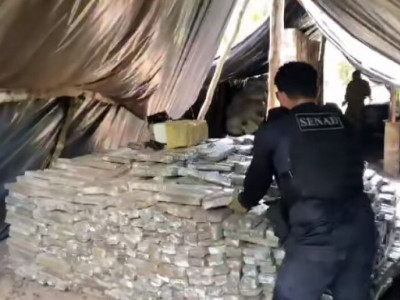 Senad destrói 7t de maconha em três acampamentos no Paraguai