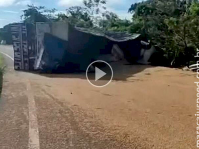 Carreta carregada com soja tomba e interdita trecho de rodovia