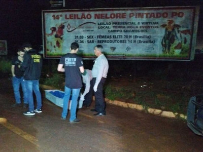 Homem encontrado morto às margens de Avenida tinha 65 anos