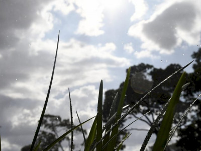 Terça-feira será de tempo instável em Mato Grosso do Sul