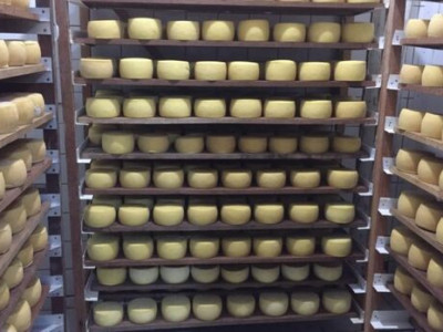 6ª edição da Festa do Queijo acontece em maio em Rochedinho