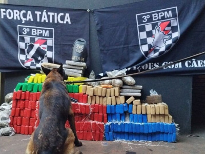 Entreposto armazenava quase 240 quilos de maconha e 