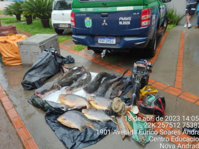 Grupo paulista é preso e multado por transporte de pescado ilegal