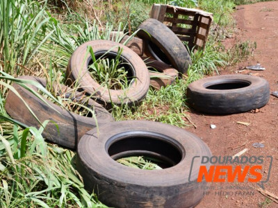 MS tem média superior a 260 novos casos de dengue por dia 