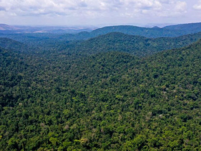 Multas por desmatamento na Amazônia aumentam 219% no 1º trimestre