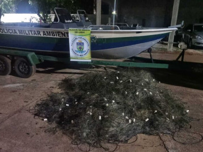 Polícia retira e solta peixes presos em redes colocadas no rio Paraná