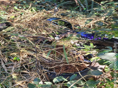 Maracaju: Polícia Militar recupera motocicleta objeto de furto