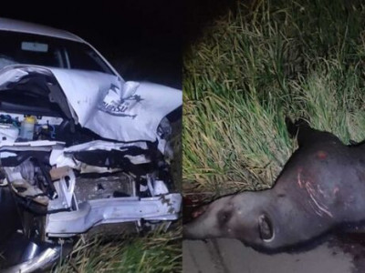 Motorista morre em acidente em Santa Rita do Rio Pardo