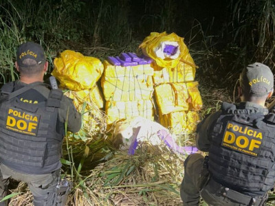 Drogas avaliadas em R$ 1 milhão são encontradas em mata