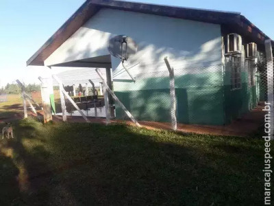 Funcionários são afastados após grávida de 8 meses morrer