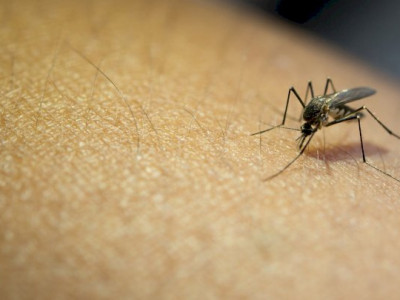 Mulher de 67 anos é a 27ª vítima de dengue em MS