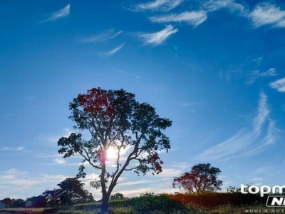 Terça-feira será de sol e clima seco em MS