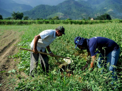 Agricultura familiar é 8ª maior produtora de alimentos do mundo 