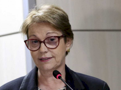 Tereza Cristina se descola de Bolsonaro e sinaliza apoio a reforma tributária 