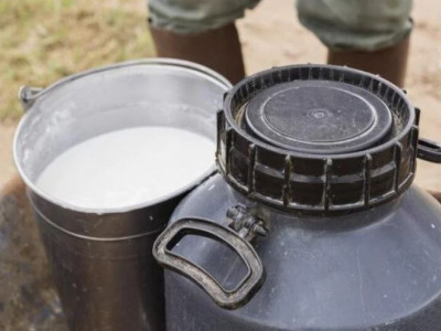 Abraleite pede medidas estruturantes para frear crise do setor