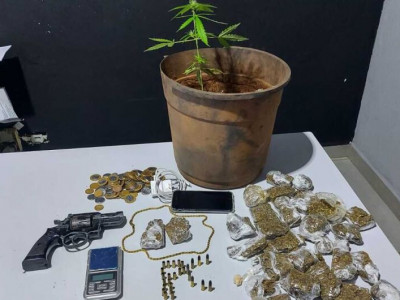 Acusado de tráfico é preso com armas, munições e pé de maconha