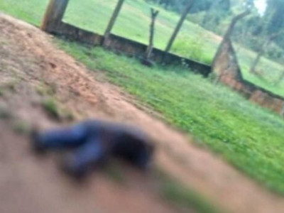 Após bebedeira, homem é morto pelo amigo em Itaquiraí