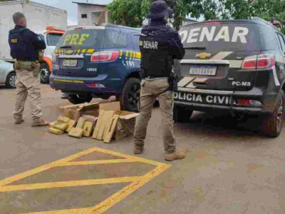 Caminhoneiro é preso com carga de maconha avaliada em R$ 616 mil