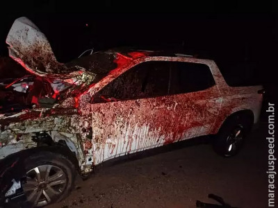 Casal fica ferido após carro colidir com cavalo na BR-376