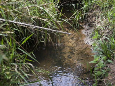 Lei inclui recuperação de nascentes na legislação ambiental
