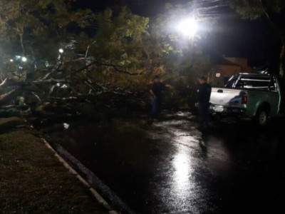 Tempestade de 10 minutos deixa rastro de destruição em Dourados 