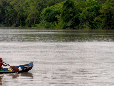 Amazônia Legal terá recursos para projetos de bioeconomia