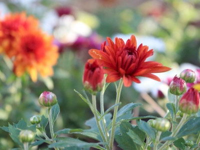 Calor e umidade: tendências da primavera em 2023