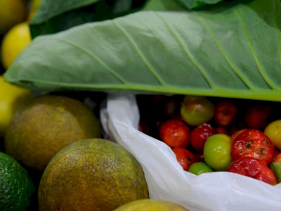 Conferência Nacional de Segurança Alimentar será em dezembro