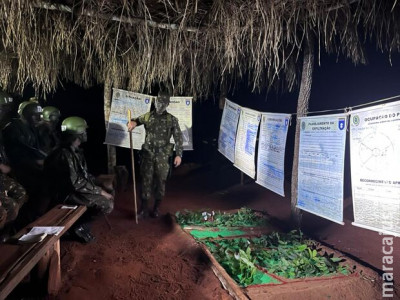 Militar picado por abelhas é entubado e fica em estado grave