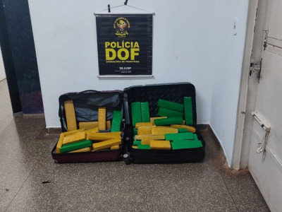 Quatro passageiros de ônibus são presos com tabletes de maconha 